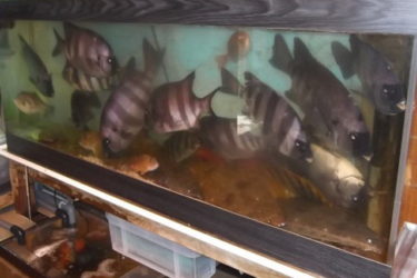 メトリーで代理店として紹介されています