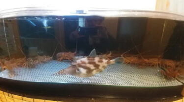 徳島県某居酒屋様