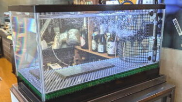 阿南市某居酒屋