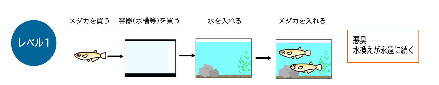 むしゅびす｜水換えのいらない水槽