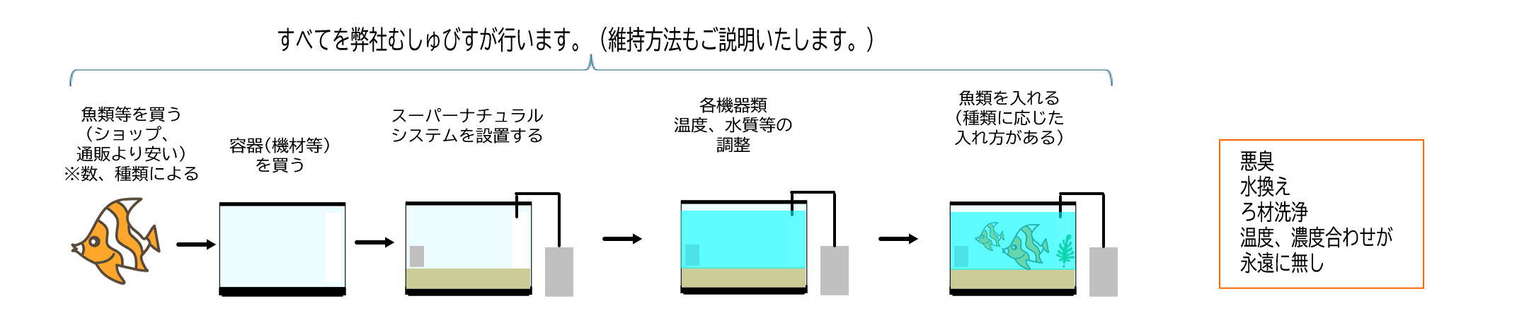 むしゅびす｜水換えのいらない水槽