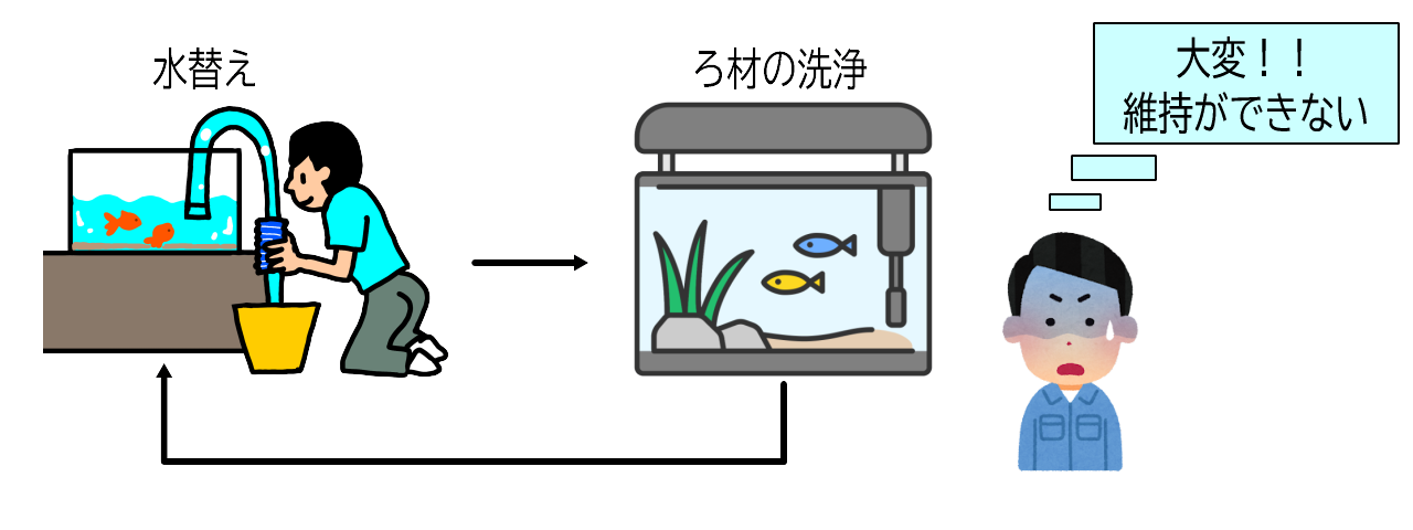 水替えのいらない水槽|むしゅびす